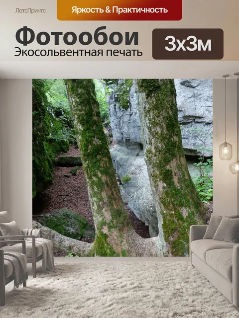 Фотообои Стволы деревьев