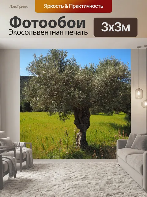 Фотообои Оливковое дерево