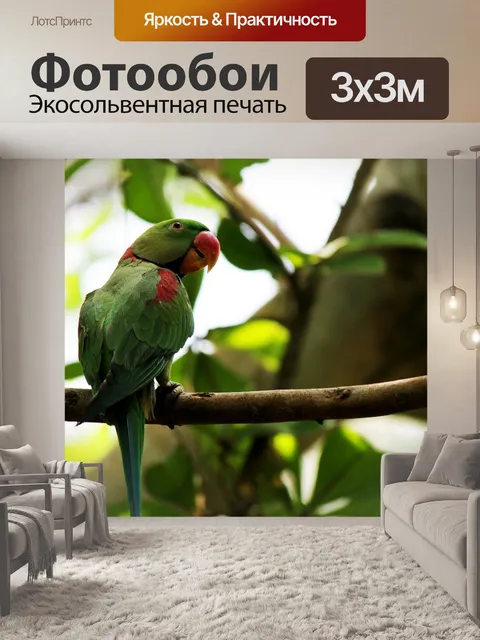 Фотообои Попугаи