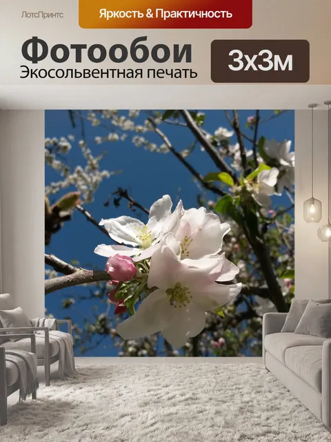 Фотообои Вишни в цвету