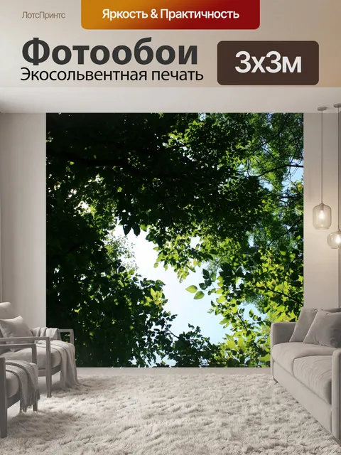 Фотообои небо, показывая через навесов