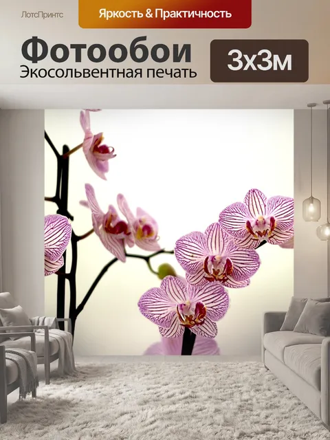 Фотообои Орхидея