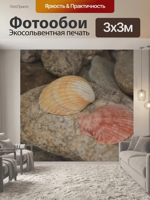 Фотообои Shell под водой