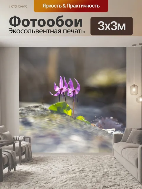 Фотообои Цветы