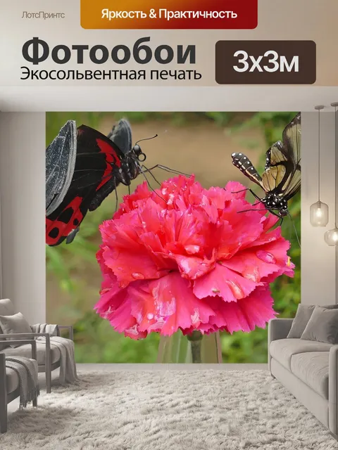Фотообои Бабочки