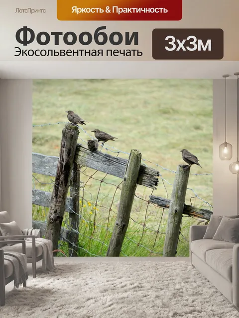 Фотообои Маленькие