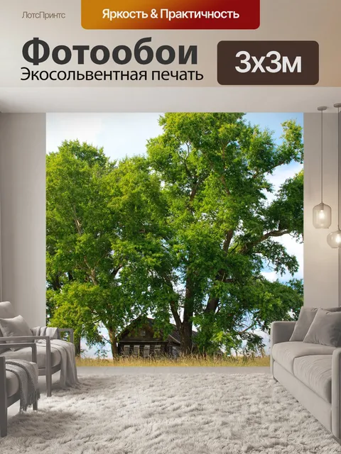 Фотообои Дом