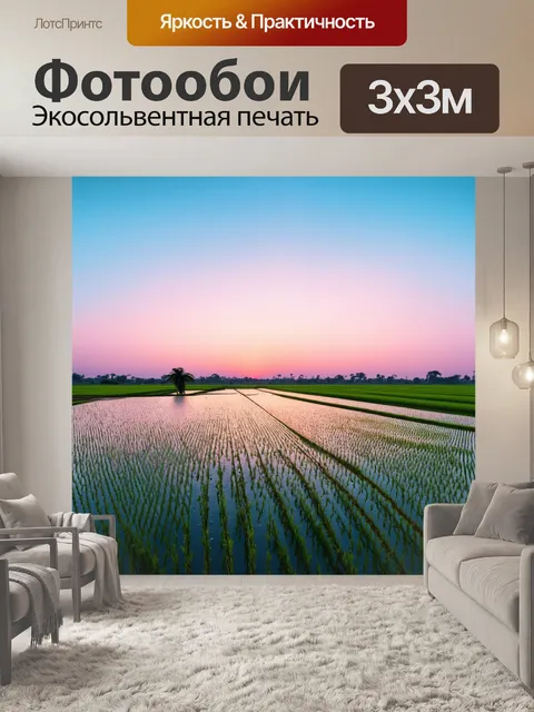 Фотообои рассвет над обширными рисовыми полями, где капли росы сверкают, словно драгоценности
