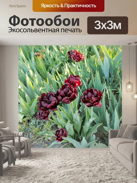 Фотообои Тюльпаны