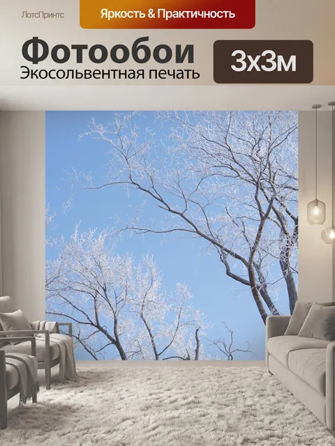 Фотообои Мороз