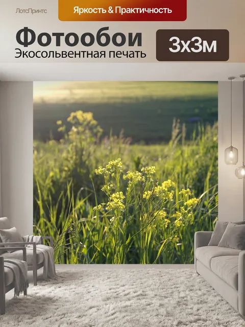 Фотообои Закат