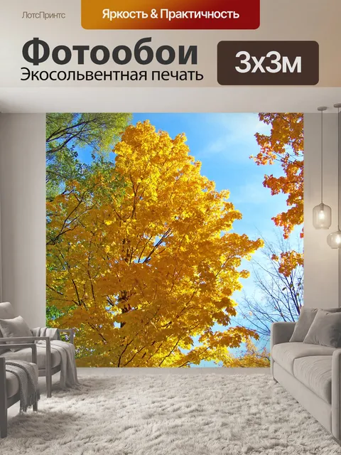 Фотообои Осенние деревья