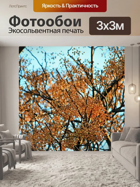 Фотообои Seringa семян кластеры