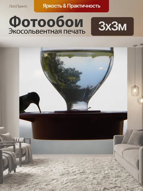 Фотообои Колибри