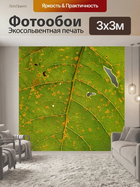 Фотообои Лист