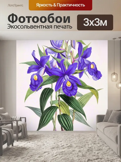 Фотообои Цветок орхидеи цветок искусство
