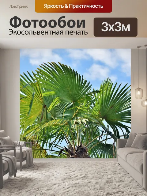Фотообои Пальма