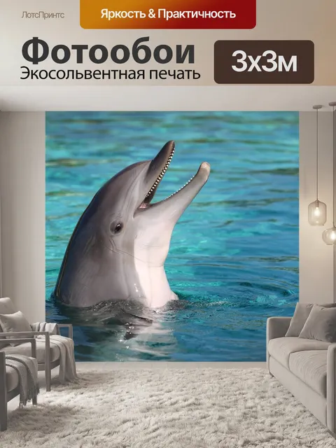 Фотообои Дельфин