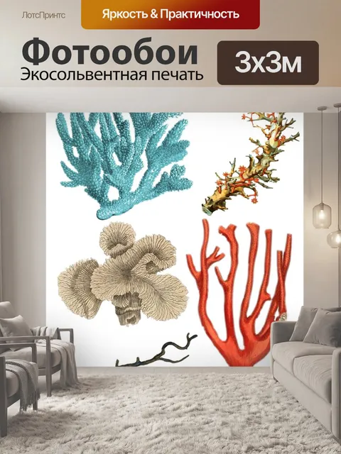 Фотообои Коралл
