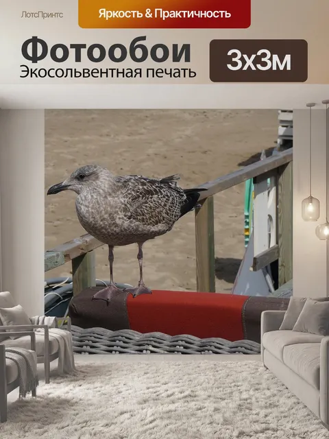 Фотообои Птица