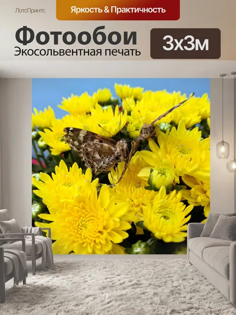 Фотообои Бабочка монарх