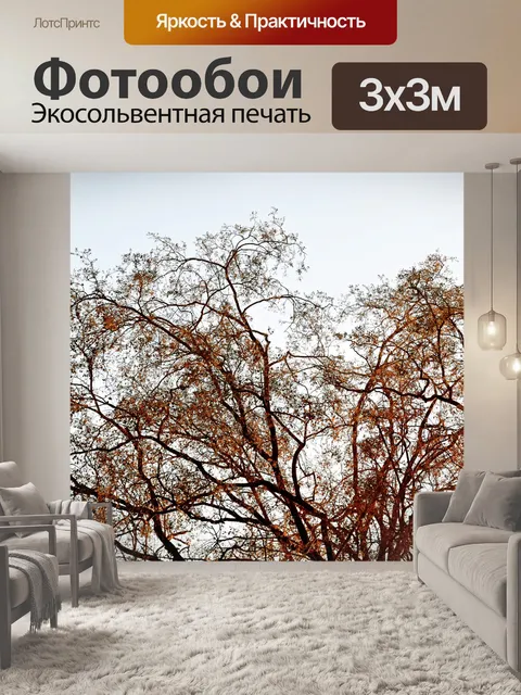 Фотообои Угловой листва 3