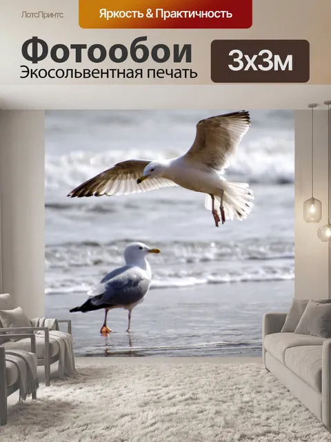 Фотообои чайка