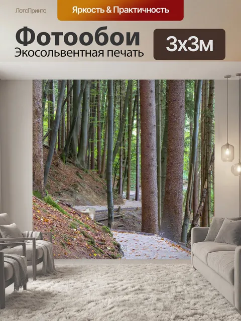 Фотообои Дорожка