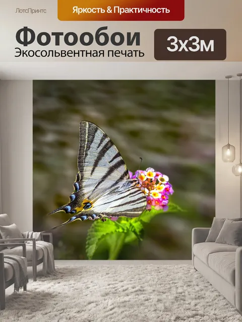 Фотообои Дефицитный ласточкин хвост
