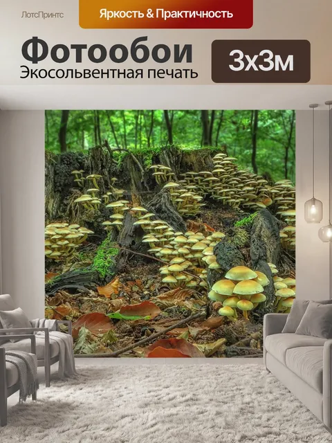 Фотообои Гриб