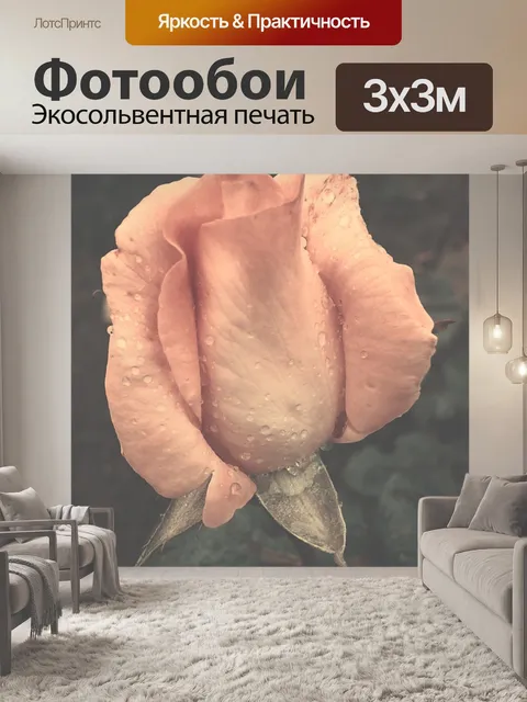Фотообои Роза