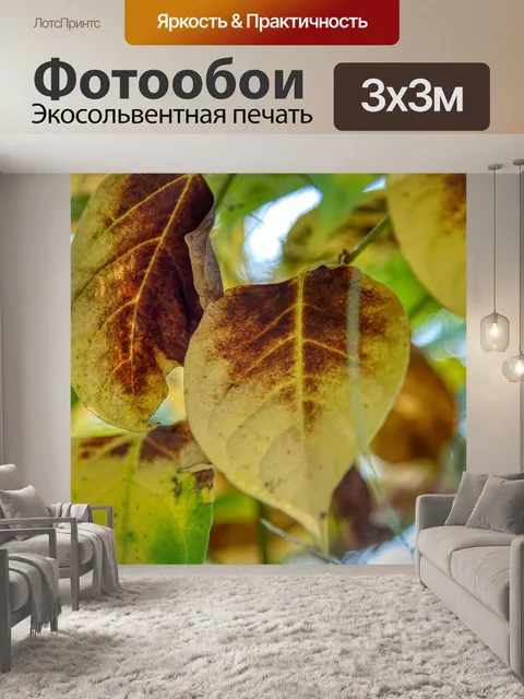 Фотообои Падение