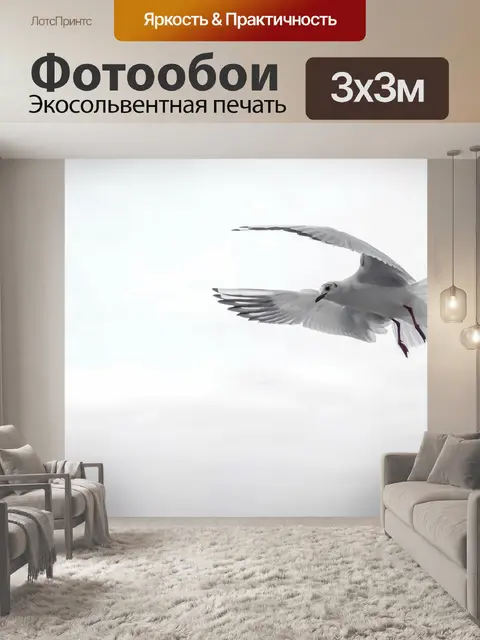 Фотообои Чайка
