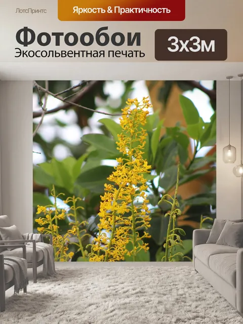 Фотообои Цветы