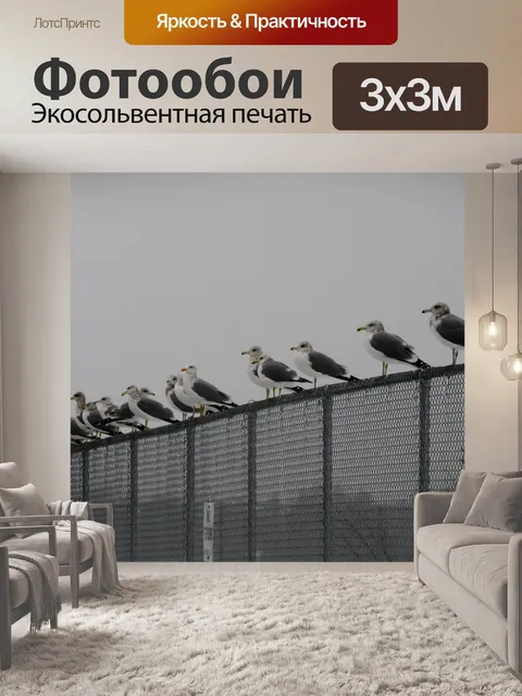 Фотообои Чайки на снегу