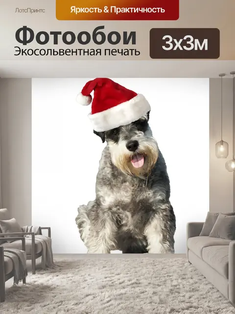 Фотообои Рождество собак Санта Hat