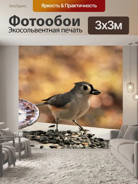 Фотообои Стеганая синица с семечками