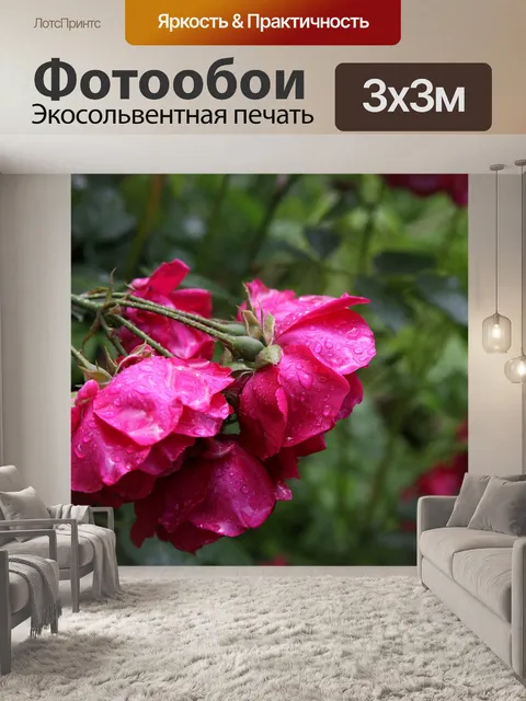Фотообои Розы