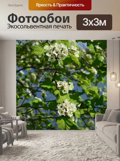 Фотообои Цветы