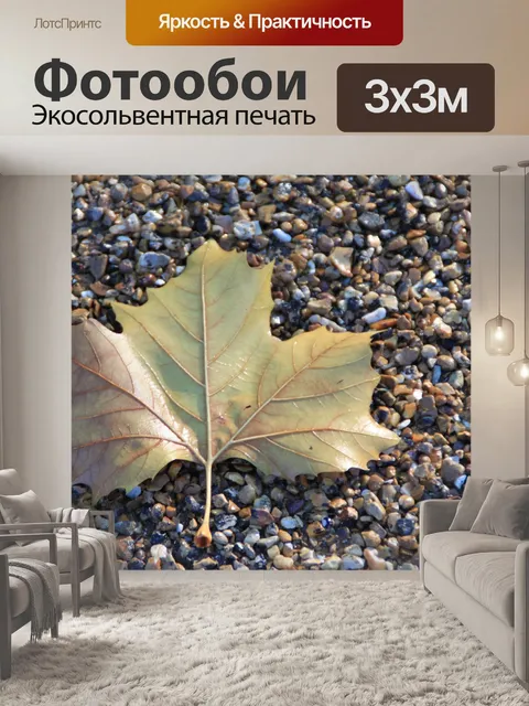 Фотообои Лист