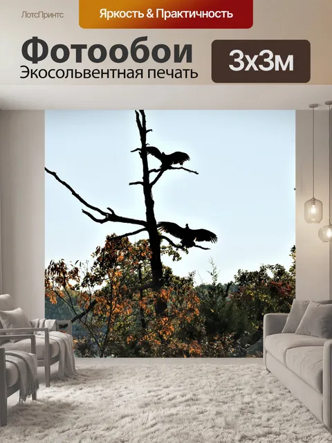 Фотообои Две камушки, загорающие в дереве