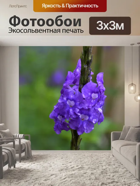 Фотообои Цветы