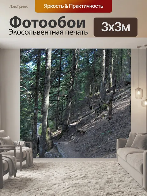 Фотообои Дорожка