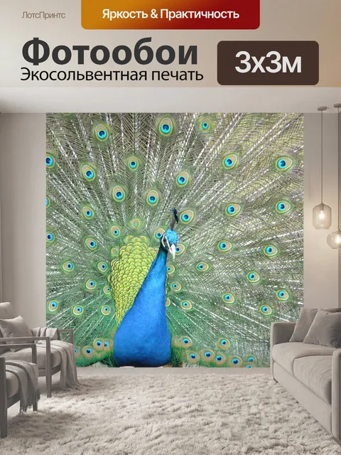 Фотообои Павлин