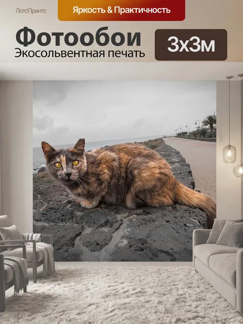 Фотообои Кот