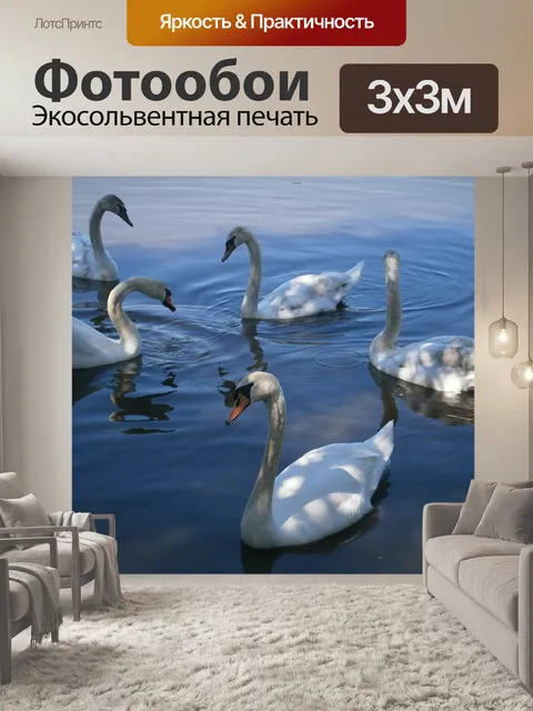 Фотообои Лебедь