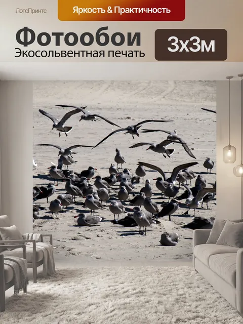 Фотообои Птицы на пляже