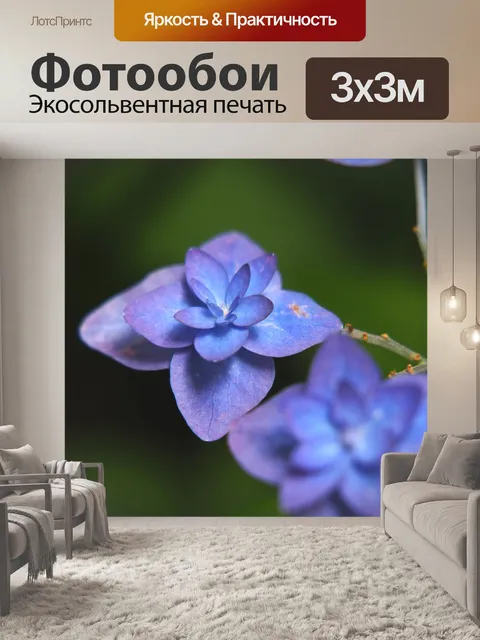 Фотообои Гортензия