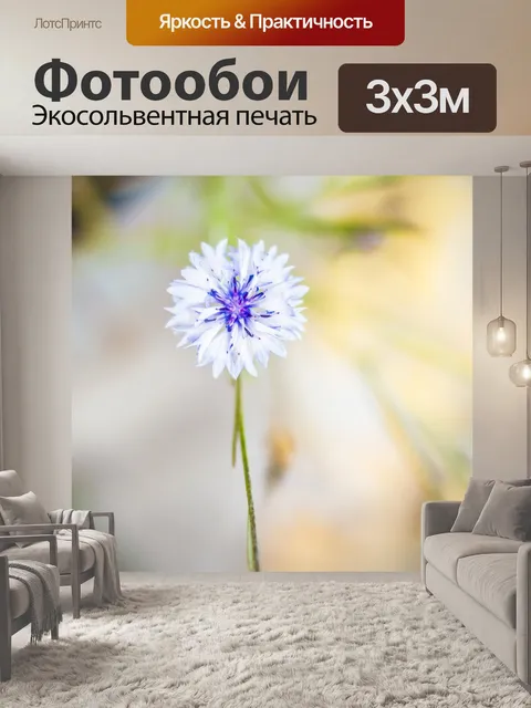 Фотообои Цветок