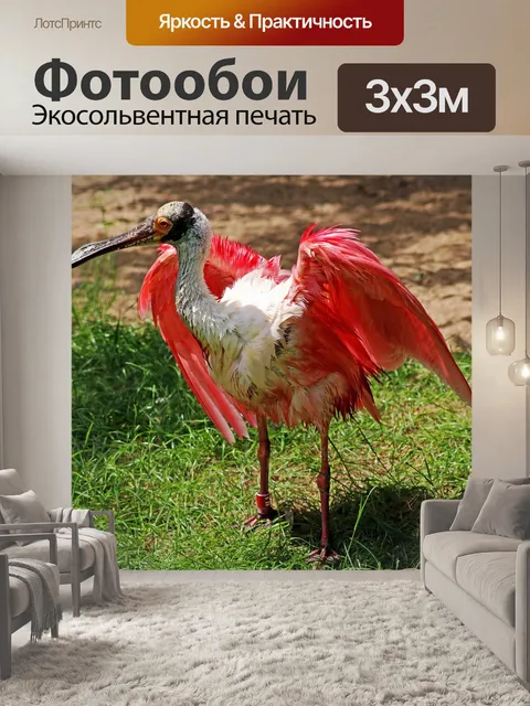 Фотообои Птица